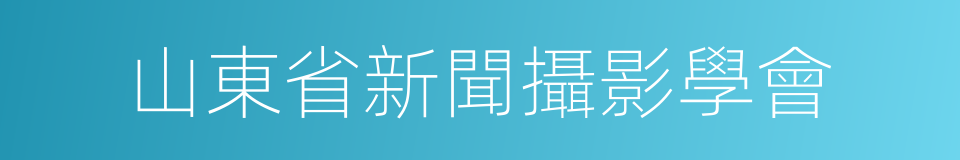 山東省新聞攝影學會的同義詞