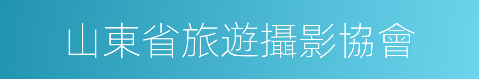 山東省旅遊攝影協會的同義詞