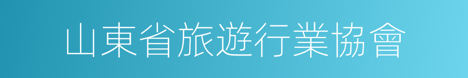 山東省旅遊行業協會的同義詞