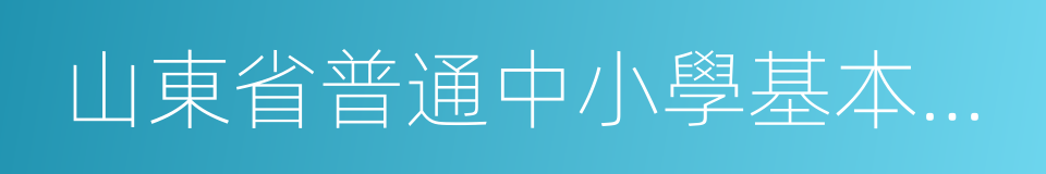 山東省普通中小學基本辦學條件標準的同義詞