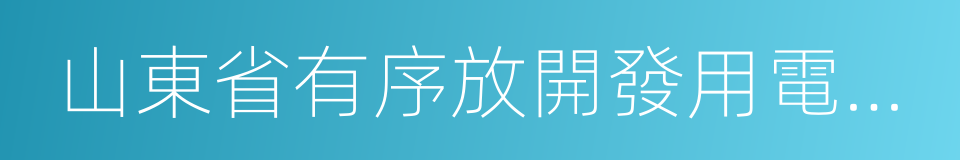 山東省有序放開發用電計劃改革實施方案的同義詞