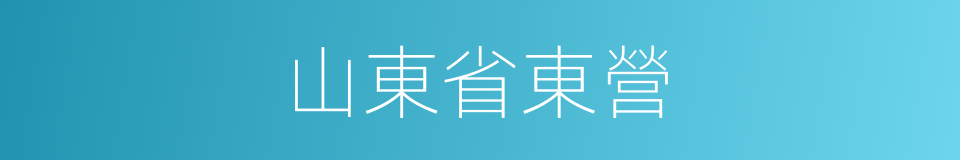 山東省東營的同義詞