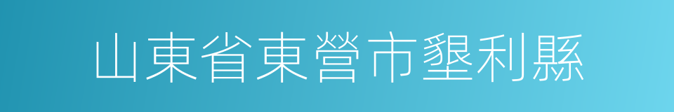 山東省東營市墾利縣的同義詞