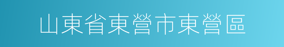 山東省東營市東營區的同義詞