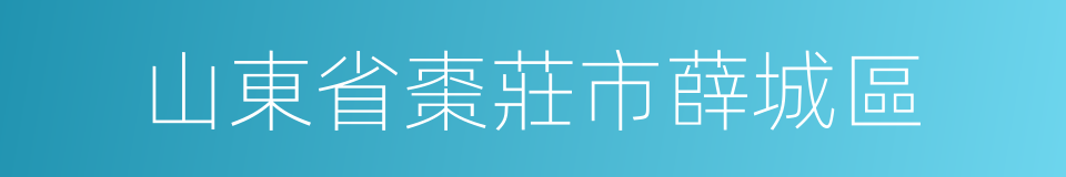 山東省棗莊市薛城區的同義詞