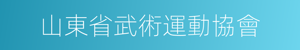 山東省武術運動協會的同義詞