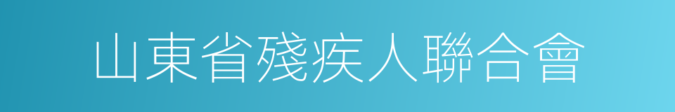 山東省殘疾人聯合會的同義詞