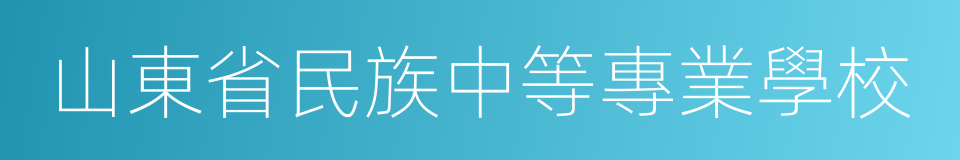 山東省民族中等專業學校的同義詞