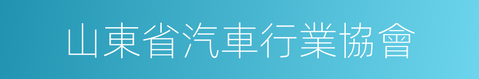 山東省汽車行業協會的同義詞