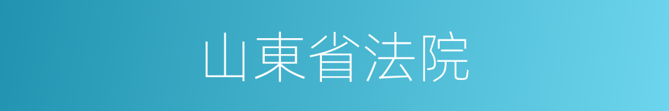 山東省法院的同義詞