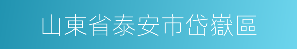 山東省泰安市岱嶽區的同義詞