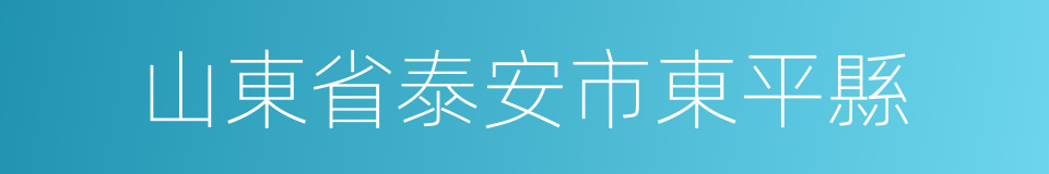 山東省泰安市東平縣的同義詞