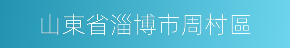 山東省淄博市周村區的同義詞