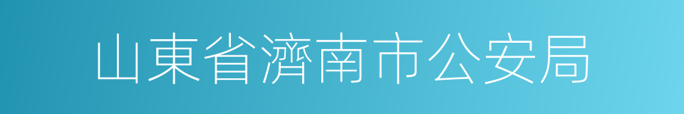 山東省濟南市公安局的同義詞