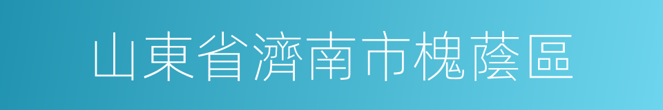 山東省濟南市槐蔭區的同義詞