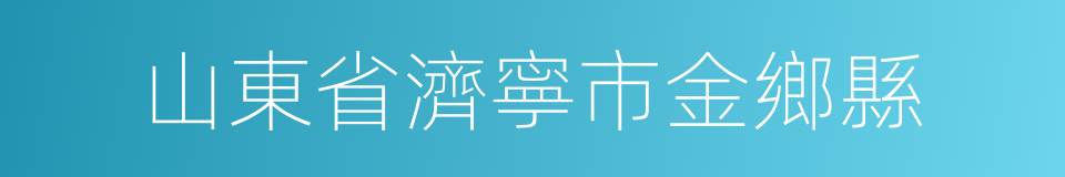 山東省濟寧市金鄉縣的同義詞