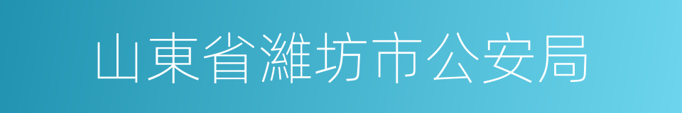 山東省濰坊市公安局的同義詞