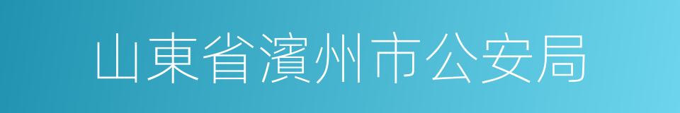 山東省濱州市公安局的同義詞