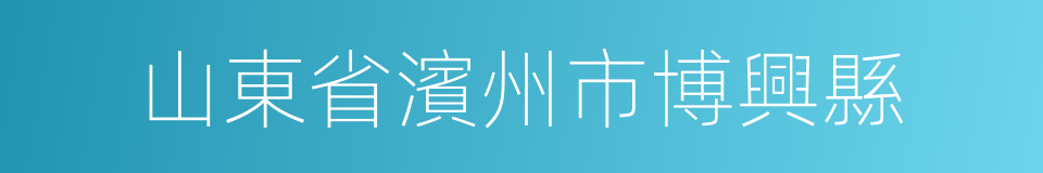 山東省濱州市博興縣的同義詞