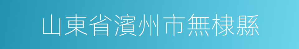 山東省濱州市無棣縣的同義詞