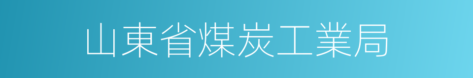 山東省煤炭工業局的同義詞