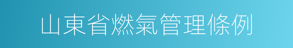 山東省燃氣管理條例的同義詞