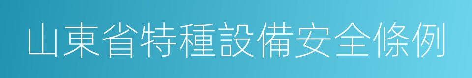 山東省特種設備安全條例的同義詞