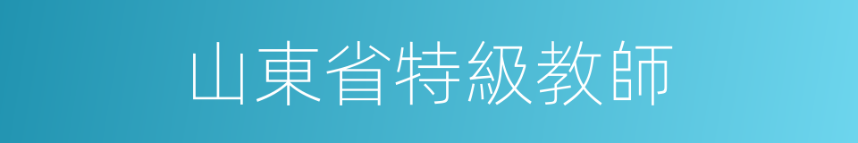 山東省特級教師的同義詞