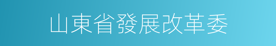 山東省發展改革委的同義詞