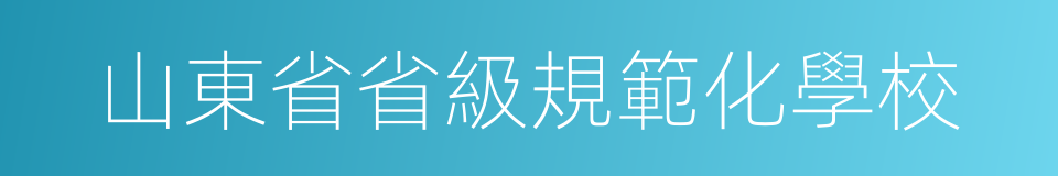 山東省省級規範化學校的同義詞