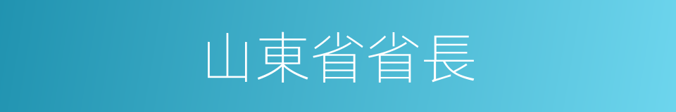 山東省省長的同義詞