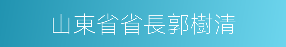 山東省省長郭樹清的同義詞