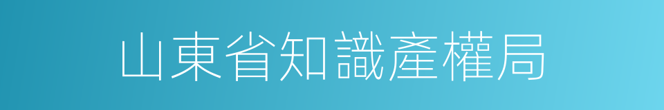 山東省知識產權局的同義詞