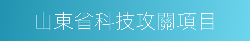 山東省科技攻關項目的同義詞