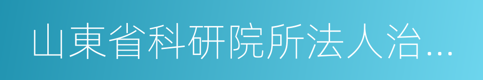 山東省科研院所法人治理結構建設實施方案的同義詞