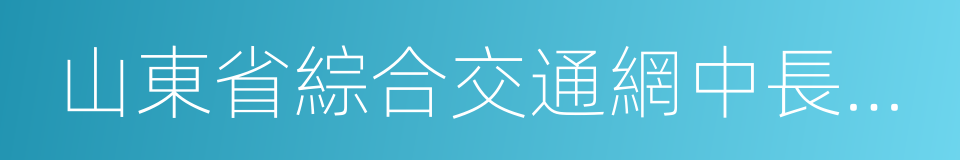 山東省綜合交通網中長期發展規劃的同義詞