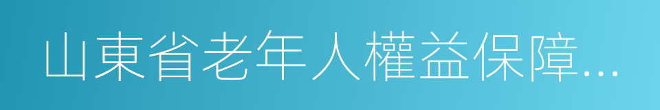 山東省老年人權益保障條例的同義詞