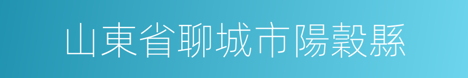 山東省聊城市陽穀縣的同義詞