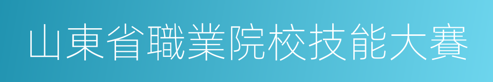 山東省職業院校技能大賽的同義詞