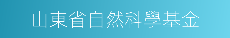 山東省自然科學基金的同義詞