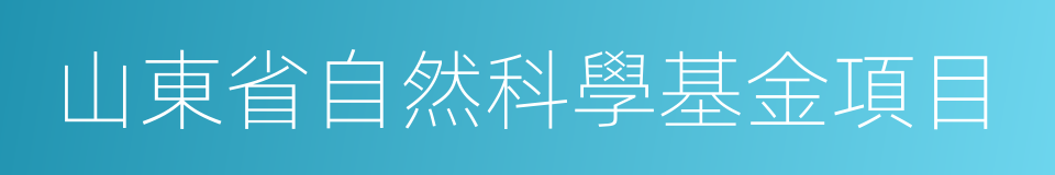 山東省自然科學基金項目的同義詞