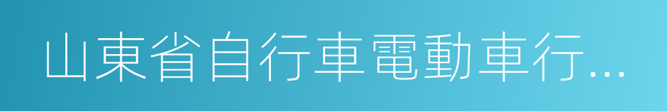 山東省自行車電動車行業協會的同義詞