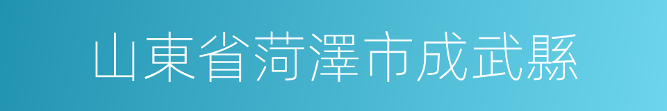 山東省菏澤市成武縣的同義詞