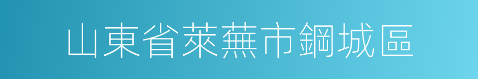 山東省萊蕪市鋼城區的同義詞