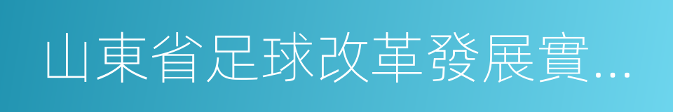 山東省足球改革發展實施方案的同義詞