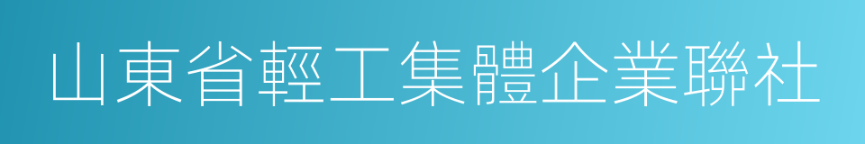 山東省輕工集體企業聯社的同義詞