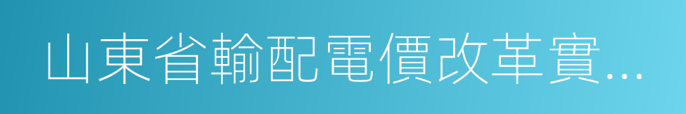 山東省輸配電價改革實施方案的同義詞