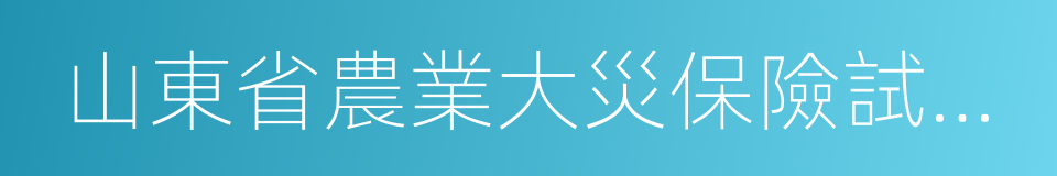 山東省農業大災保險試點工作方案的同義詞