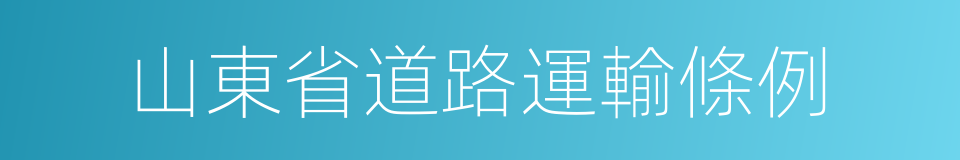 山東省道路運輸條例的同義詞