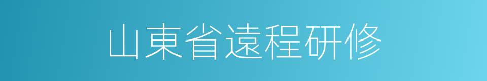 山東省遠程研修的同義詞